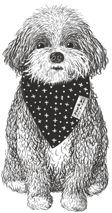 Illustration of a fluffy dog with a bandana around its neck, sitting and facing forward.