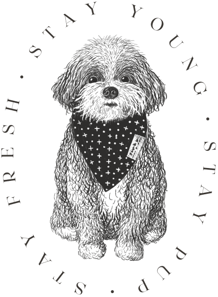 Illustration of a sitting dog surrounded by the text "Stay Young, Stay Pup, Stay Fresh.