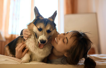 A woman lies on a bed smiling and hugging a large, happy dog with a multi-colored coat.