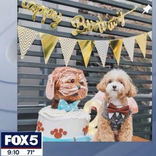 A small dog wearing a bow tie stands next to a cake that resembles it. A "Happy Birthday" banner and decorative bunting are in the background. The image is from a Fox 5 news segment at 9:10 AM with a temperature of 71°F.